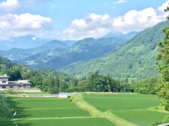 田舎の水道代
